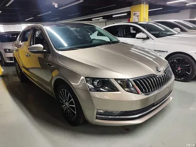2019 Škoda Octavia TSI230 DSG Zhixing Luxury Edition China VI, фото 4, лот 10348063