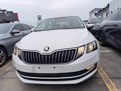 2018 Škoda Octavia 1.6L Automatic Luxury, фото 3, лот 10893950