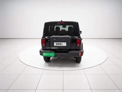 2024 Tank 300 Model 2.0T Challenger, фото 3, лот 10345743