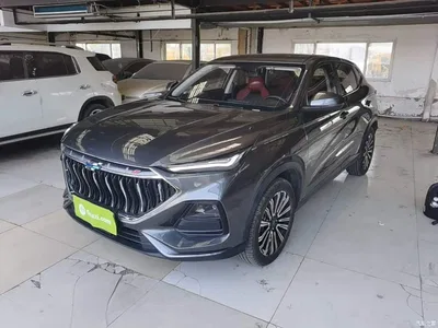 2023 Changan Oshan Changan Oushang X5 Enjoy Edition 1.5T DCT Luxury, фото 1, лот 11162528