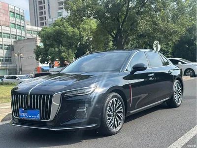 2023 Hongqi H5 2.0T Auto Smart Connect Flag Comfort, фото 1, лот 10679205