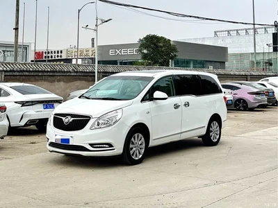2017 Buick GL8 25S Luxury China V, фото 1, лот 11195509