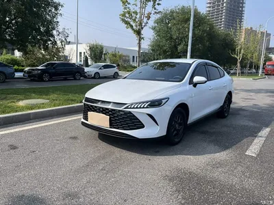 2026 BYD Qin PLUS DM-i Smart Edition 128KM Progressive, фото 2, лот 10894336