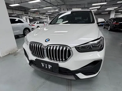 2022 BMW X1 sDrive25Li Leading, фото 1, лот 11212095