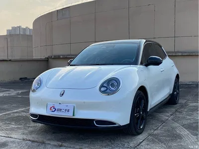 2024 Ora Good Cat 401km Anniversary Edition, фото 1, лот 10331856