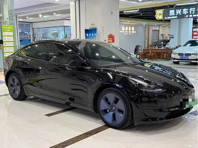 2022 Tesla Model 3 Model Rear-Wheel Drive Version, фото 3, лот 10888185
