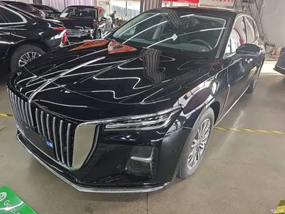 2025 Hongqi H5 1.5T DCT Flag Rhythm 500,000 Units Memorial Edition, фото 1, лот 10289291