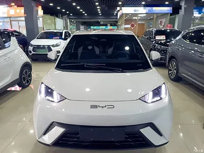 2023 BYD Seagull Flying Edition, фото 3, лот 10259542