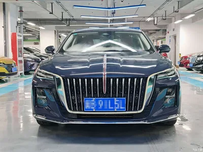 2024 Hongqi H5 2.0T Automatic Smart Connect Flag Leader Edition, фото 2, лот 10288618