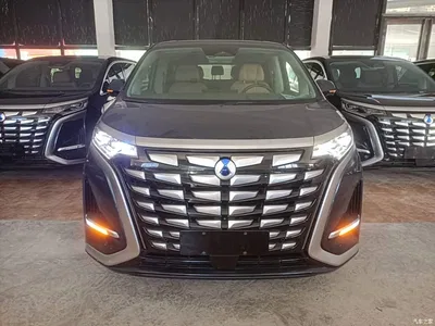 2022 Denza D9 DM-i 970 All-Wheel Drive Honor Edition, фото 3, лот 11502198