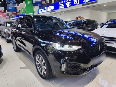 2018 WEY VV6 2.0T 2WD Super Luxury China V, фото 4, лот 10452320