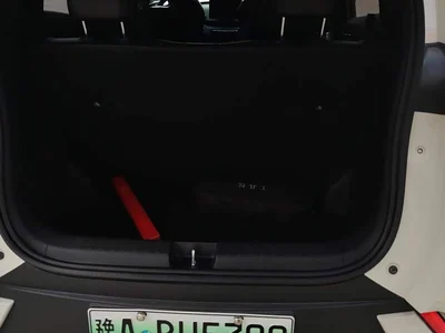 2024 BYD Seagull Glory Edition 305km Vitality Edition, фото 4, лот 10611703