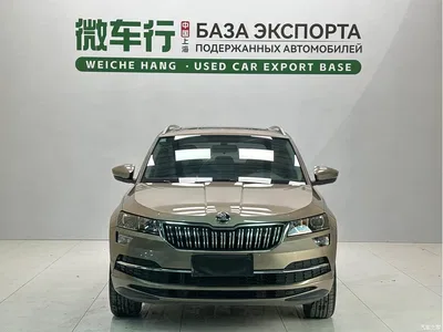 2022 Škoda Karoq TSI280 Premium Edition, фото 2, лот 10349509