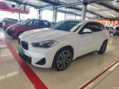 2021 BMW X2 sDrive25i Exclusive M Sport Package, фото 2, лот 10889664