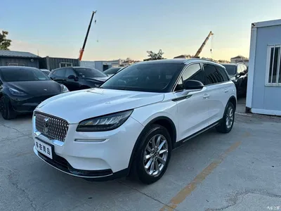 2021 Lincoln Adventurer 2.0T 2WD Prestige Edition, фото 1, лот 10357616