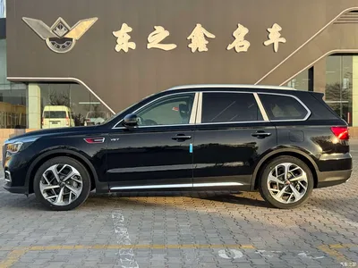 2022 Hongqi HS7, фото 4, лот 10361055