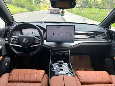 2022 BYD Tang New Energy DM-p 215KM AWD Flagship, фото 4, лот 11018126