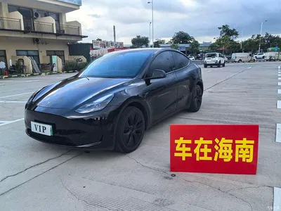 2023 Tesla Model Y Rear-Wheel Drive Edition, фото 1, лот 11191933
