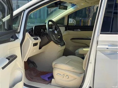 2021 Buick GL8 ES Landlord 653T Premium, фото 4, лот 10889715