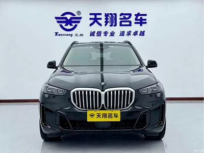 2023 BMW X5 xDrive 30Li Premium M Sport Black Night Package, фото 3, лот 11446873