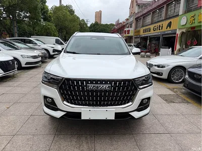 2023 Haval H6 National Trend Edition 1.5T Automatic Champion, фото 2, лот 10297640