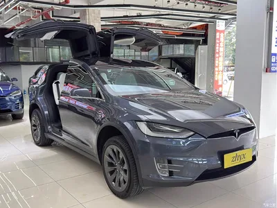 2019 Tesla Model X Long Range Version, фото 3, лот 10357029