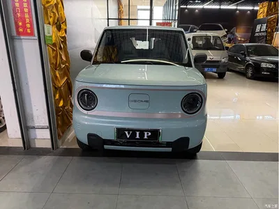 2023 Geely Galaxy Panda Mini 200km Endurance Bear, фото 2, лот 10428796