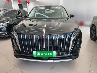 2024 Hongqi HS7 PHEV 2.0T PHEV 4WD Flagship Edition 6-seater, фото 3, лот 10289418