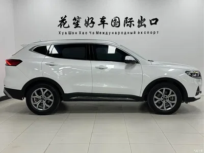2021 Haval H6 Model National Trend Edition 1.5T Auto Champion, фото 4, лот 10300895