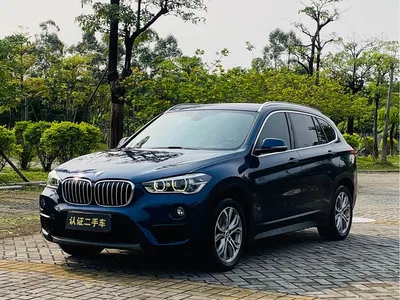 2018 BMW X1 sDrive20Li Leading Model, фото 1, лот 10465831