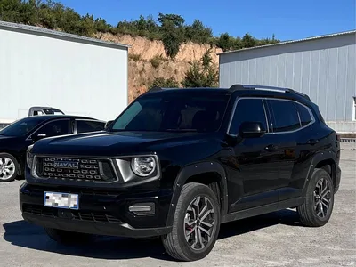 2023 Haval Da Gou 2nd Gen 2.0T 2WD Trendy Off-road Edition Plus, фото 1, лот 10414638