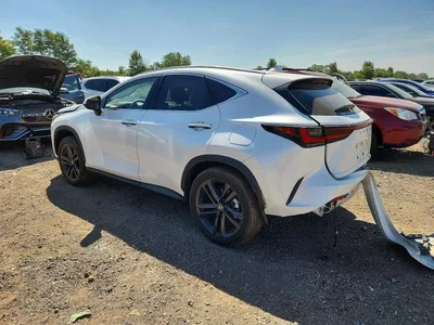 2025 LEXUS NX 450H+ BASE, фото 2, лот 10900614
