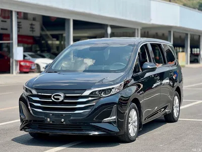 2019 GAC Trumpchi Trumpchi M6 270T Automatic Luxury (7-seater) China V, фото 1, лот 10418360