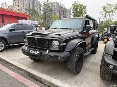 2023 Tank 300 Off-Road Edition 2.0T Conqueror, фото 1, лот 10345072