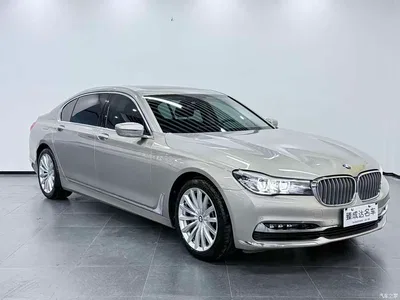 2018 BMW 7 Series 730Li Leading Type Excellence Package, фото 3, лот 10307441