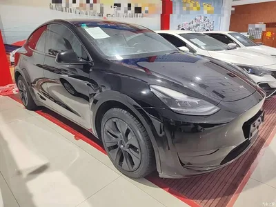 2024 Tesla Model Y Rear-Wheel Drive Version, фото 4, лот 11140348