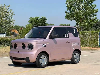 2023 Geely Galaxy Panda Mini 200km Endurance Bear, фото 1, лот 11242585