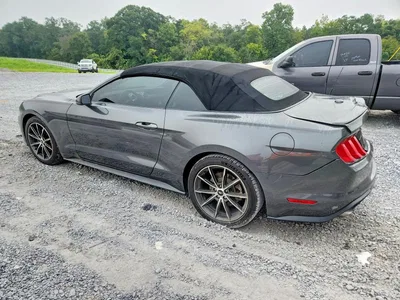 2019 FORD MUSTANG, фото 2, лот 10519883