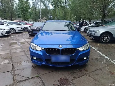 2019 BMW 3 Series 320Li M Sport Black Night Edition, фото 3, лот 10457502
