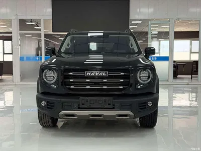 2022 Haval Big Dog 1.5T DCT FWD Border Collie Edition, фото 2, лот 10361780