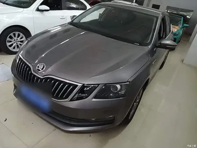 2019 Škoda Octavia 1.5L Automatic Smart Comfort China VI, фото 1, лот 11216577