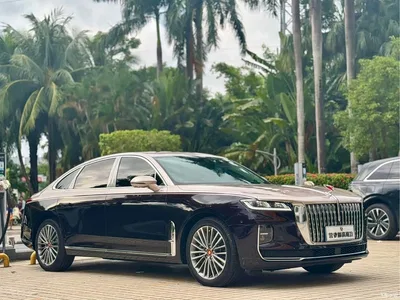 2020 Hongqi H9 Facelift 2.0T Smart Connect Flagship, фото 3, лот 10770763