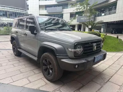 2025 Tank 300 2.0T Challenger, фото 3, лот 10285114