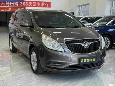 2017 Buick GL8 25S Luxury China V, фото 3, лот 10256386