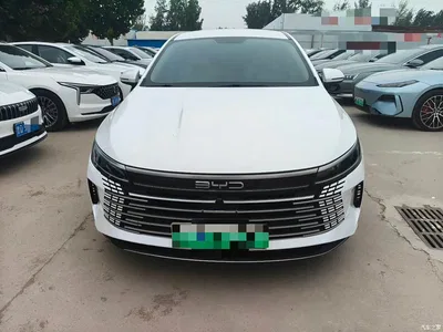 2024 BYD Destroyer 05 Glory Edition DM-i 55KM Luxury, фото 2, лот 10404971