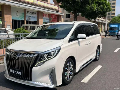 2018 GAC Trumpchi Trumpchi M8 320T Premium Edition, фото 1, лот 10415305