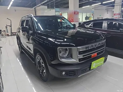 2024 Haval Big Dog 2.0T DCT Chinese Rural Dog Edition, фото 4, лот 10361228