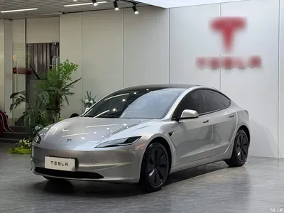 2025 Tesla Model 3 Model Rear-Wheel Drive Edition, фото 1, лот 10370573