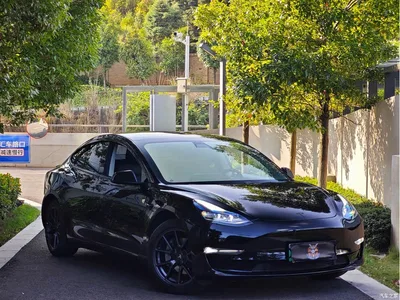 2021 Tesla Model 3 Standard Range Rear-Wheel Drive Upgrade 3D6, фото 3, лот 10452405