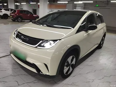 2023 BYD Dolphin 420km Freedom Edition, фото 1, лот 10264163